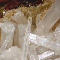 Nasonite