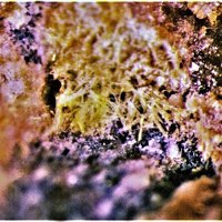 Upalite