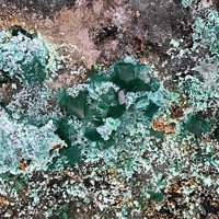 Ramsbeckite, Schulenbergite, Linarite