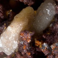 Palmierite