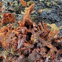 Canosioite, Berzeliite