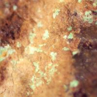 Opal-AN, Autunite, Bassetite