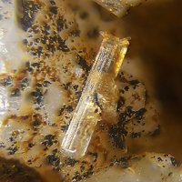Palermoite, Goedkenite