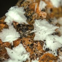 Lanthanite-(Ce)