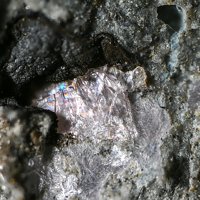 Lanthanite-(Nd)