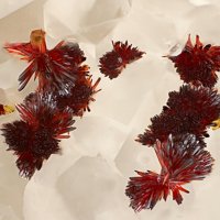 Carminite