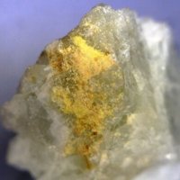 Carlosbarbosaite