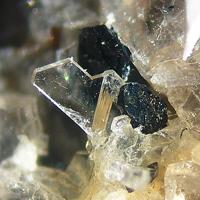 Capranicaite