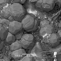 D'Ansite-(Fe), Adranosite