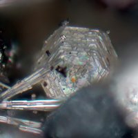 Galloplumbogummite