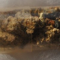 Sabugalite