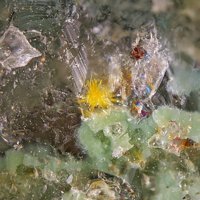 Macquartite, Quartz
