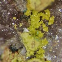 Gartrellite