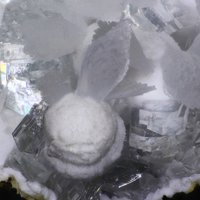 Dachiardite-Ca, Clinoptilolite-Ca, Mordenite