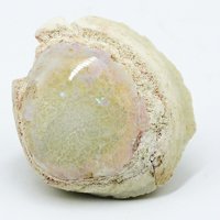 Opal