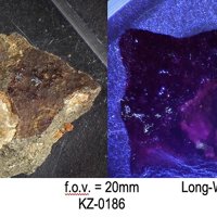 Carpathite