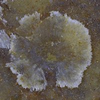 Uralolite