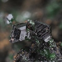 Lammerite