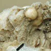 Nabesite, Pectolite, Albite