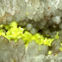 Uranocircite