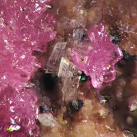 Maghrebite, Anorthoroselite