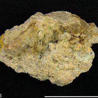 Ransomite