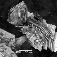 Ichnusaite