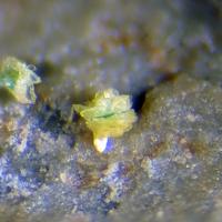 Abernathyite, Heinrichite