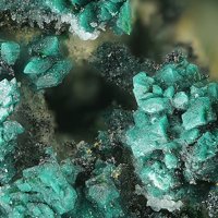 Lammerite