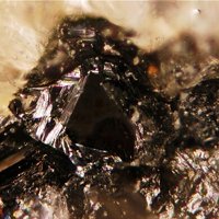 Laitakarite