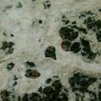 Jasmundite