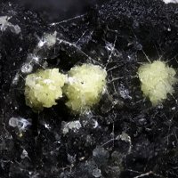Ecdemite