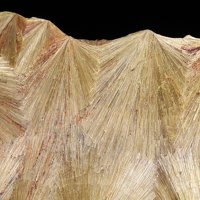 Carpholite