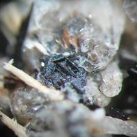 Batiferrite