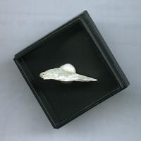 Calciborite