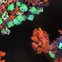 Bayldonite, Goethite