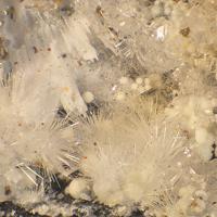 Canavesite, Inderite, Dypingite