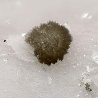 Calcioancylite-(Nd)