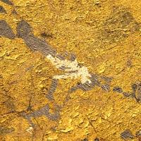 Paolovite, Cubanite, Cabriite