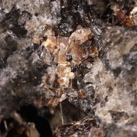 Kalsilite, Åkermanite