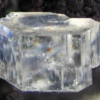 Caracolite