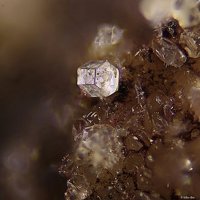 Kalsilite