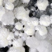 Tacharanite, Phillipsite Subgroup