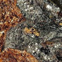 Akaganeite