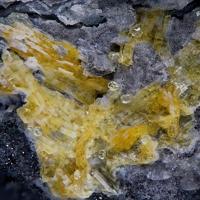 Bazhenovite, Sulphur