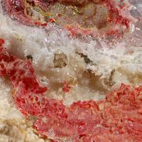 Quartz, Cinnabar, Calomel