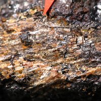 Samuelsonite