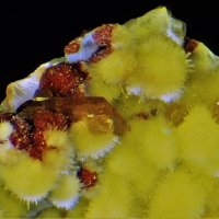 Umohoite, Baryte, Parauranophane