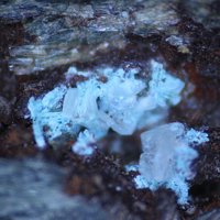 Lanthanite-(Ce), Wroewolfeite, Actinolite