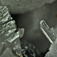 Dalyite